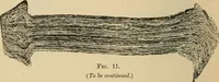An illustration from The Locomotive (1867)