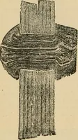 An illustration from The Locomotive (1867)