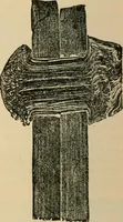 An illustration from The Locomotive (1867)