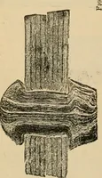 An illustration from The Locomotive (1867)