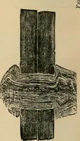 An illustration from The Locomotive (1867)