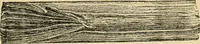 An illustration from The Locomotive (1867)