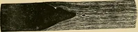 An illustration from The Locomotive (1867)