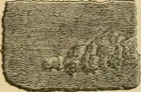 An illustration from The Locomotive (1867)
