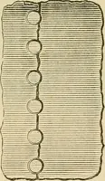 An illustration from The Locomotive (1867)