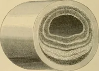 An illustration from The Locomotive (1867)