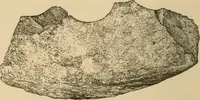 An illustration from The Locomotive (1867)