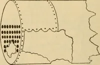 An illustration from The Locomotive (1867)