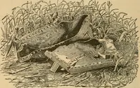 Picture 54 of 54 from The Locomotive (1867), leaf 187