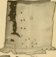 An illustration from The Locomotive (1867)