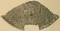 An illustration from The Locomotive (1867)