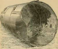 Picture 13 of 44 from The Locomotive (1867), leaf 57
