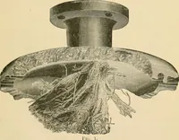 Picture 37 of 58 from The Locomotive (1867), leaf 138
