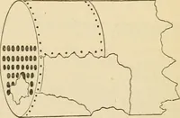 An illustration from The Locomotive (1867)
