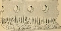 An illustration from The Locomotive (1867)