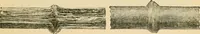 An illustration from The Locomotive (1867)