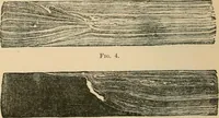 An illustration from The Locomotive (1867)