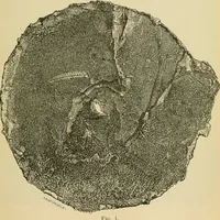 An illustration from The Locomotive (1867)