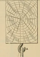 An illustration from The Locomotive (1867)