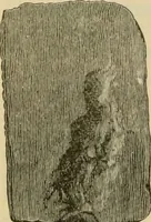 An illustration from The Locomotive (1867)