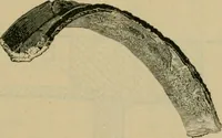 An illustration from The Locomotive (1867)