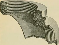 An illustration from The Locomotive (1867)
