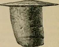 An illustration from The Locomotive (1867)
