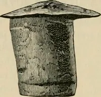 An illustration from The Locomotive (1867)
