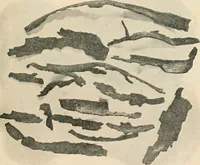 An illustration from The Locomotive (1867)