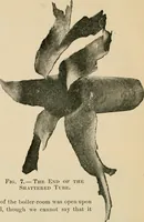 Picture 27 of 45 from The Locomotive (1867), leaf 155