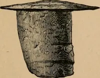 An illustration from The Locomotive (1867)