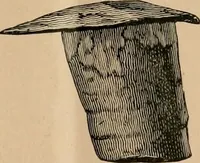 An illustration from The Locomotive (1867)