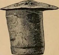 An illustration from The Locomotive (1867)