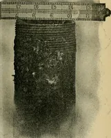 An illustration from The Locomotive (1867)