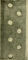 An illustration from The Locomotive (1867)