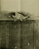 Picture 3 of 140 from The Locomotive (1867), leaf 10