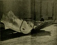 An illustration from The Locomotive (1867)