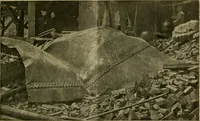 Picture 32 of 140 from The Locomotive (1867), leaf 138