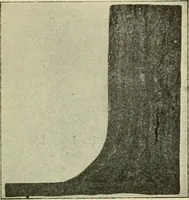 An illustration from The Locomotive (1867)