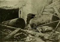Picture 51 of 140 from The Locomotive (1867), leaf 248