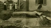Picture 69 of 140 from The Locomotive (1867), leaf 332