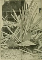 Picture 123 of 140 from The Locomotive (1867), leaf 437