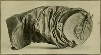Picture 129 of 140 from The Locomotive (1867), leaf 470