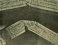 Picture 134 of 140 from The Locomotive (1867), leaf 491