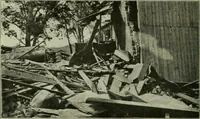 Picture 68 of 145 from The Locomotive (1867), leaf 239