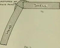 An illustration from The Locomotive (1867)