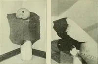 Picture 100 of 145 from The Locomotive (1867), leaf 327
