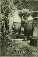 Picture 111 of 145 from The Locomotive (1867), leaf 359