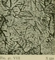 An illustration from The Locomotive (1867)