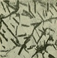 An illustration from The Locomotive (1867)